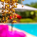 Villa Marmaris Holiday Villas *