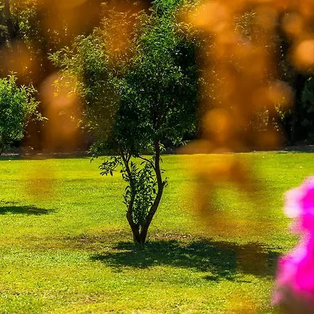 فيلة مارماريس هوليداي مرمريس