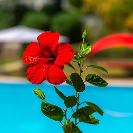 Βίλα Marmaris Holiday Villas Μαρμαρίς